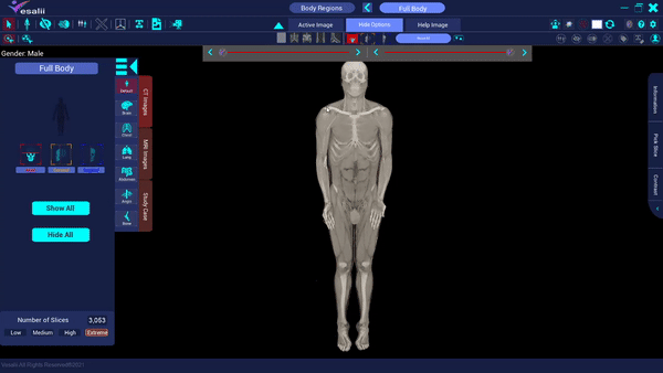 Coração Batendo - Atlas do Corpo Humano on Make a GIF
